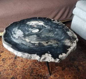 petrified wood Tisch inkl. Beine vH76