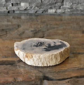 versteinertes Holz fossiles Holz Skulptur Steinskulptur poliert petrified wood Steinobjekt Steinskulptur Baumscheibe