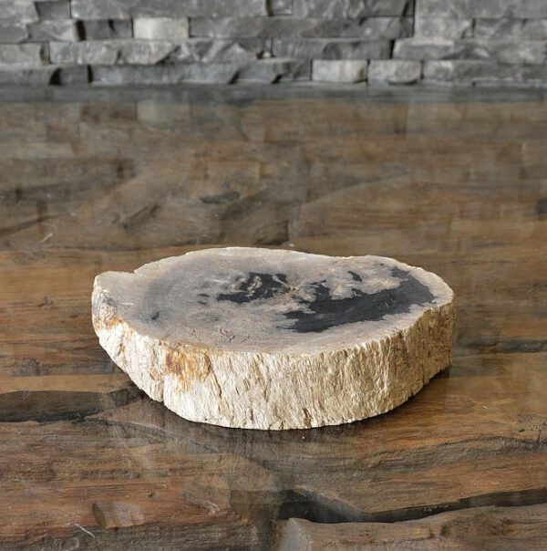 versteinertes Holz fossiles Holz Skulptur Steinskulptur poliert petrified wood Steinobjekt Steinskulptur Baumscheibe