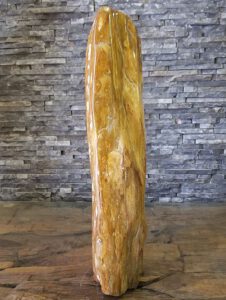 versteinertes Holz fossile Skulptur Pflanzenfossilien poliert petrified wood vH68