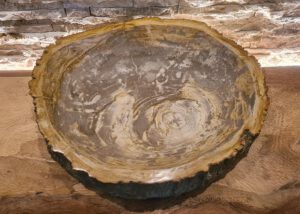 versteinertes Holz fossile Obstschale Schale poliert petrified wood Indonesien Bali vH78
