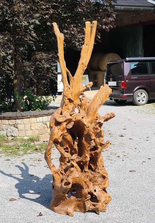 Teak Wurzel Holzskulptur Treibholz Ho.2089