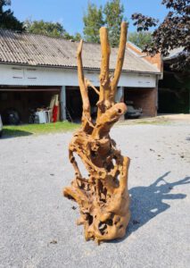 Teak Wurzel Holzskulptur Treibholz Ho.2089