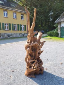 Teak Wurzel Holzskulptur Treibholz Ho.2089